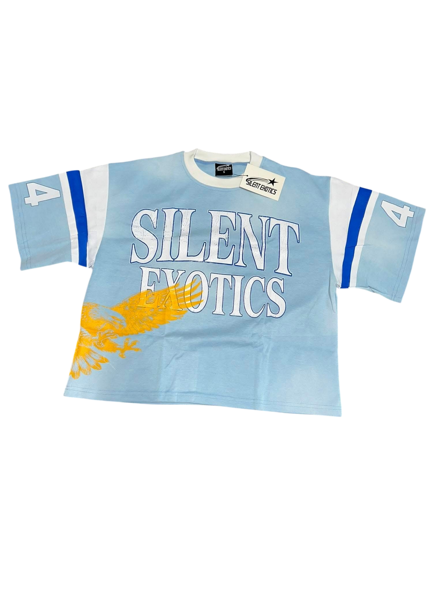 SKY BLUE EAGLE JERSEY